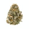 123383 Cultivated Industries 170131F 46747 AlienBubba SAF 1