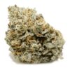 King Louis XIII