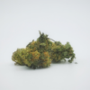 Orange Cookie Smalls buy online canada