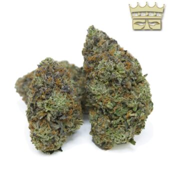 Bubba Kings - Mike Tyson 🥊 THC: 29%-35%