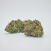 Frosty Cannabis Strain buy online canada