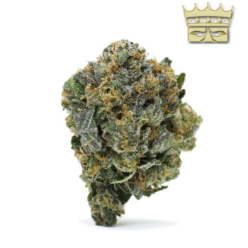 Bubba Kings - Pinetar THC: 29%-35%