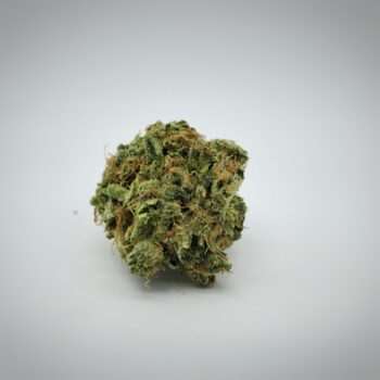 Close-up of [EXOTIC} Dosi Pie THC: 25%-31% ON SALE !! cannabis bud, showcasing its vibrant green color and trichome coverage. A potent and flavorful choice.