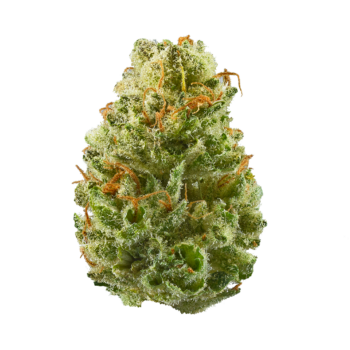 [EXOTIC} Strawberry Shortcake THC: 28%-33%