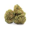 Tom Ford Strain at BC Kronikk