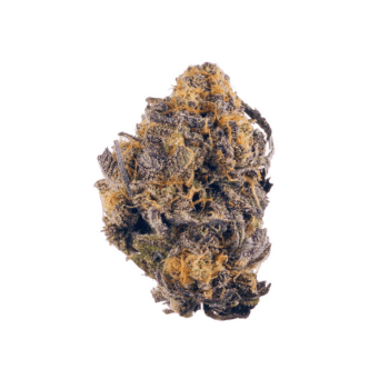 Close-up of a Black Diamond Smalls bud, a cannabis strain with THC levels between 17%-23%. Showcasing the bud's trichomes and color variation.