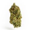 PinkKush