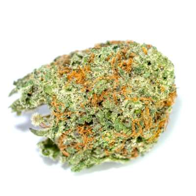 Close-up view of a premium Jack Herer THC: 17%-23% cannabis flower. This bud displays vibrant green hues and orange pistils, showcasing its quality.
