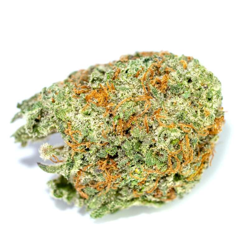 Close-up view of a premium Jack Herer THC: 17%-23% cannabis flower. This bud displays vibrant green hues and orange pistils, showcasing its quality.