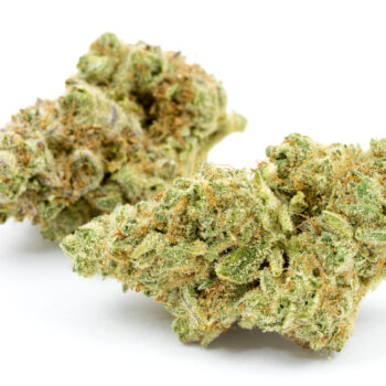 Gelato THC: 29%-35%