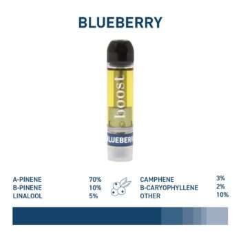 Boost Distillate Cart – Blueberry 1G