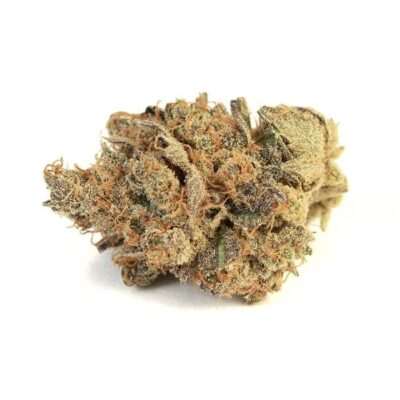 Close-up of Pink Bubba, a cannabis strain with THC levels between 14%-20%. Premium quality bud showing dense trichome coverage and vibrant colors.
