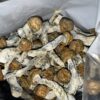 Magic Mushrooms - Penis Envy
