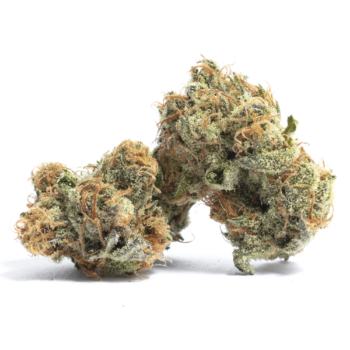 French Cookies THC: 23%-30%