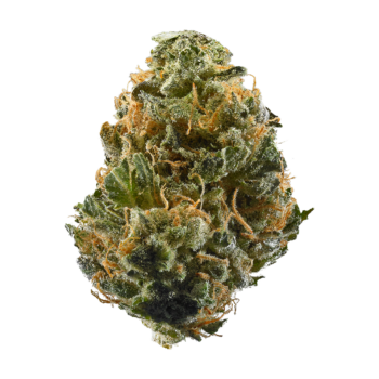 [EXOTIC} Tangie THC: 28%-33%