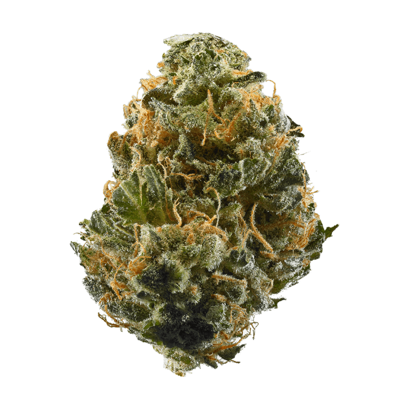 [EXOTIC} Limesicle THC: 28%-33%
