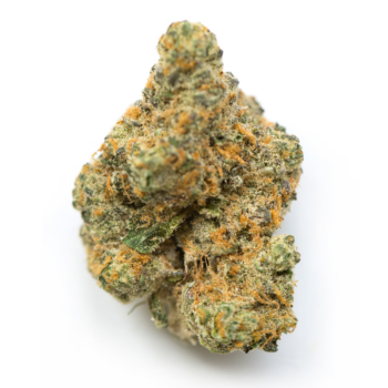 Moby Dick THC: 17%-23%