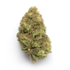 strain 2