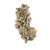 strain 20