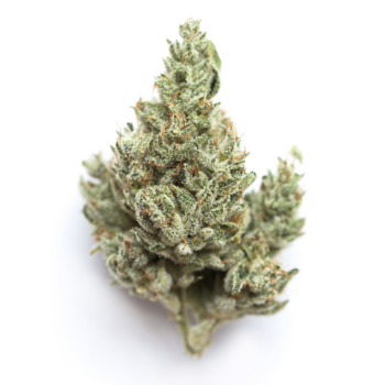 NYC Haze THC: 23%-30%
