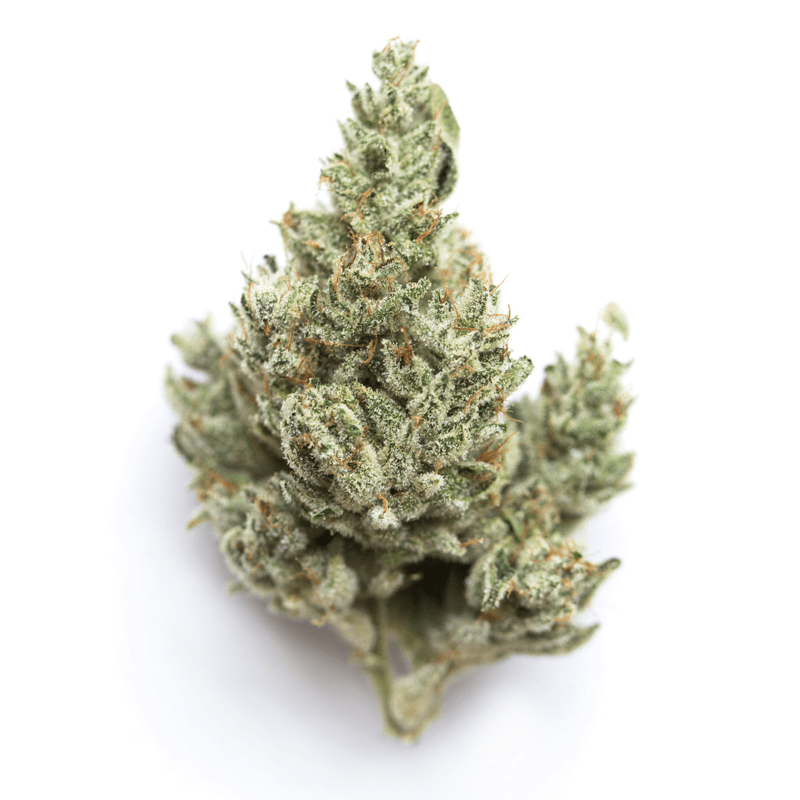 NYC Haze THC: 23%-30%