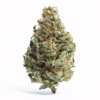 strain 9