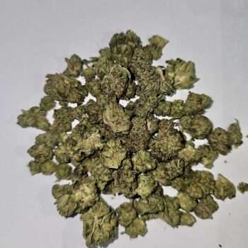 Close-up view of OG Kush buds, showcasing its distinctive texture and color. This strain contains OG Kush THC: 14%-16%.