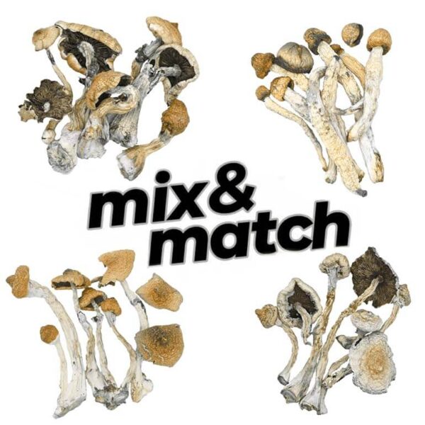 mix and match mushrooms 28g