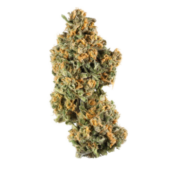 Nebula THC: 16%-19%