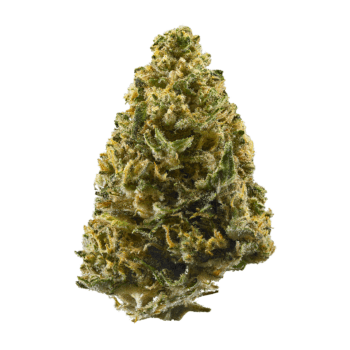 Close-up of a premium Northern Lights THC: 23%-30% cannabis bud, showcasing its dense trichomes and vibrant green hues. A top-quality selection.