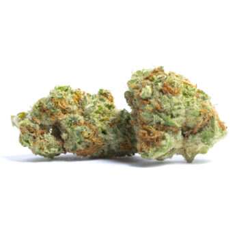 Close-up of two Papaya cannabis buds, showcasing green and orange hairs. This Papaya strain has THC levels between 23%-30%.