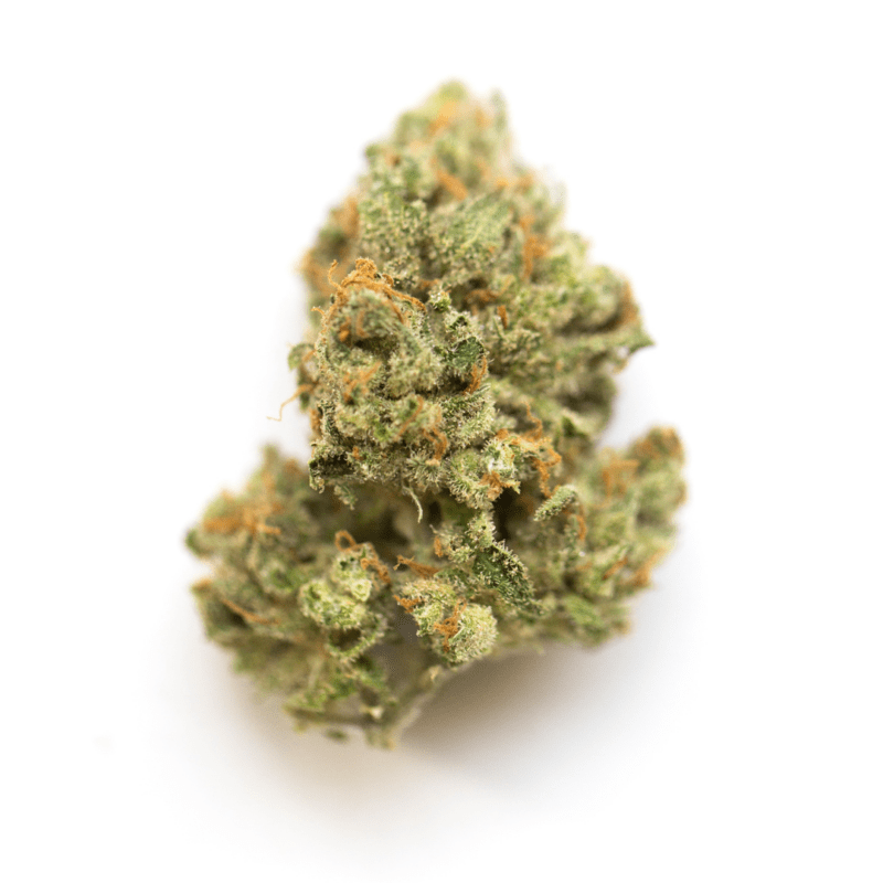 Pitbull THC: 19%-25%