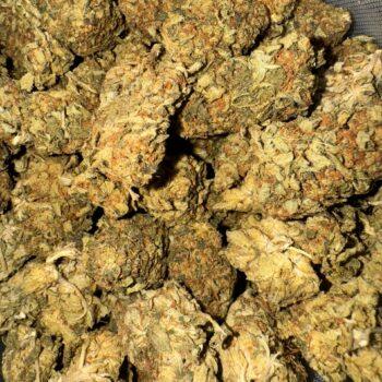 Close-up image of Grape Kush THC: 14%-16% cannabis flower, showcasing the bud's texture and color. Premium quality Grape Kush for discerning customers.