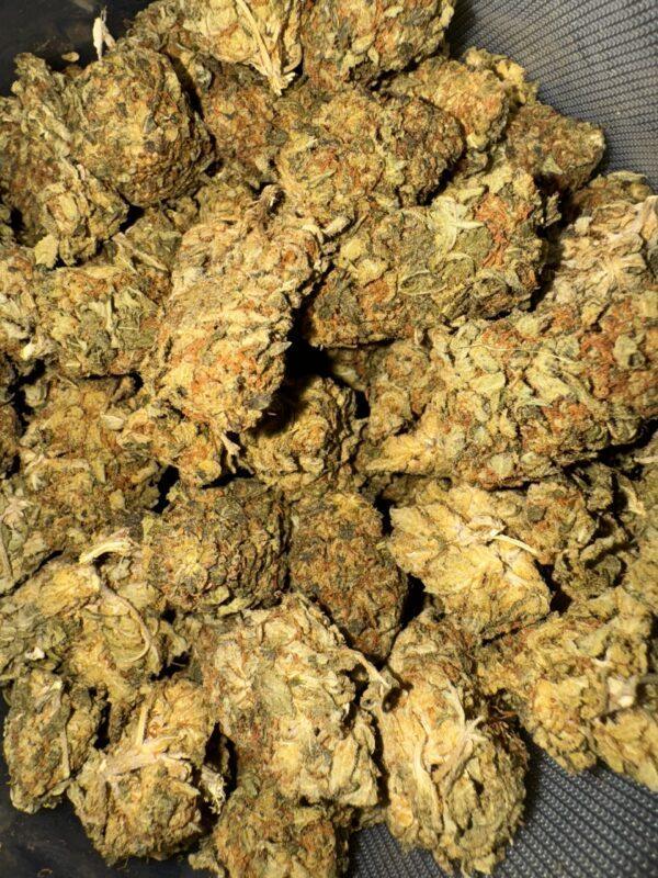 Grape Kush THC: 14%-16%