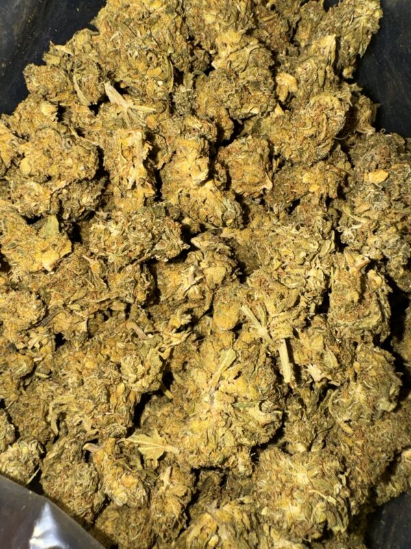 Jack Herer THC: 14%-16%