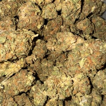 Motor Boat THC: 14%-16%