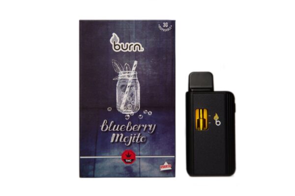 Burn 3G Disposable Pen - Blueberry Mojito (HYBRID)