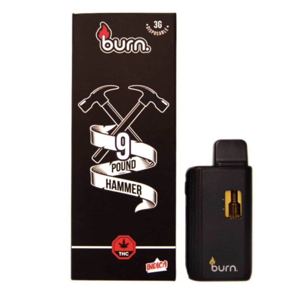 Burn 3G Disposable Pen - 9 Pound Hammer (INDICA)