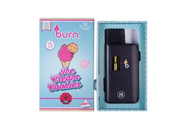 Burn Disposable – 2G Vapes - Ice Cream Cookies - Indica