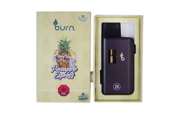 Burn Disposable – 2G Vapes - Pineapple Express - Hybrid