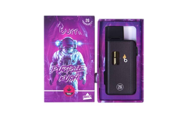 Burn Disposable – 2G Vapes - Purple Kush - Indica