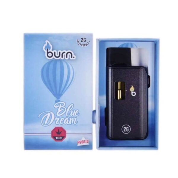 Burn Disposable – 2G Vapes - Blue Ocean - Hybrid