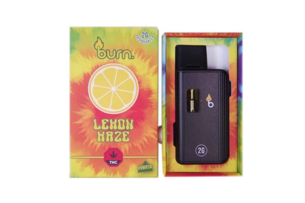 Burn Disposable – 2G Vapes - Lemon Haze - Hybrid