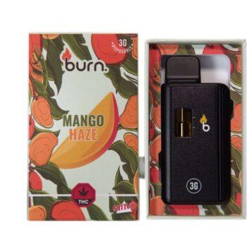 Image of Burn 3G Disposable Pen - Mango Haze (SATIVA). High-quality cannabis vaping with a delicious mango flavor profile. Shop now for a premium experience.
