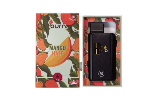 Burn 3G Disposable Pen - Mango Haze (SATIVA)