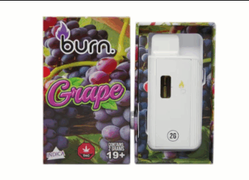 Burn - Grape – 2g Disposable Vape (Indica)