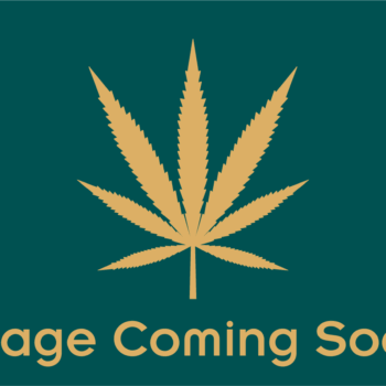 Zkittlez – 3g Diamond Infused Indica-Dominant Hybrid Disposable