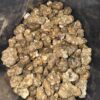 Magic Mushrooms - Truffle