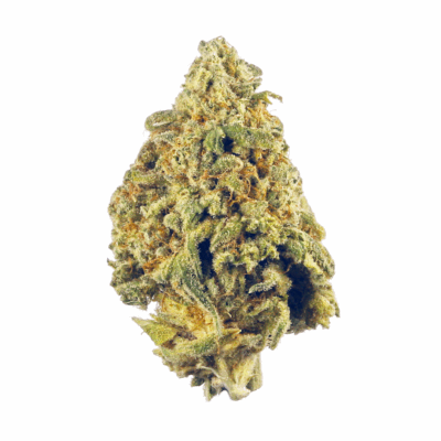 Close-up of a dense Death Bubba bud, showcasing its rich trichomes and green hues. This premium strain has a THC content between 17%-23%.