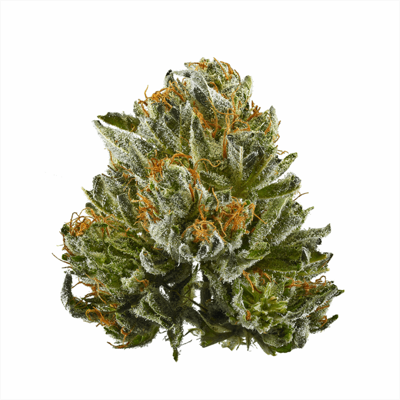 Premium Bubba Kush bud. This strain has a THC content of 19%-25%, showcasing its potency and quality. Visually appealing, dense flower.